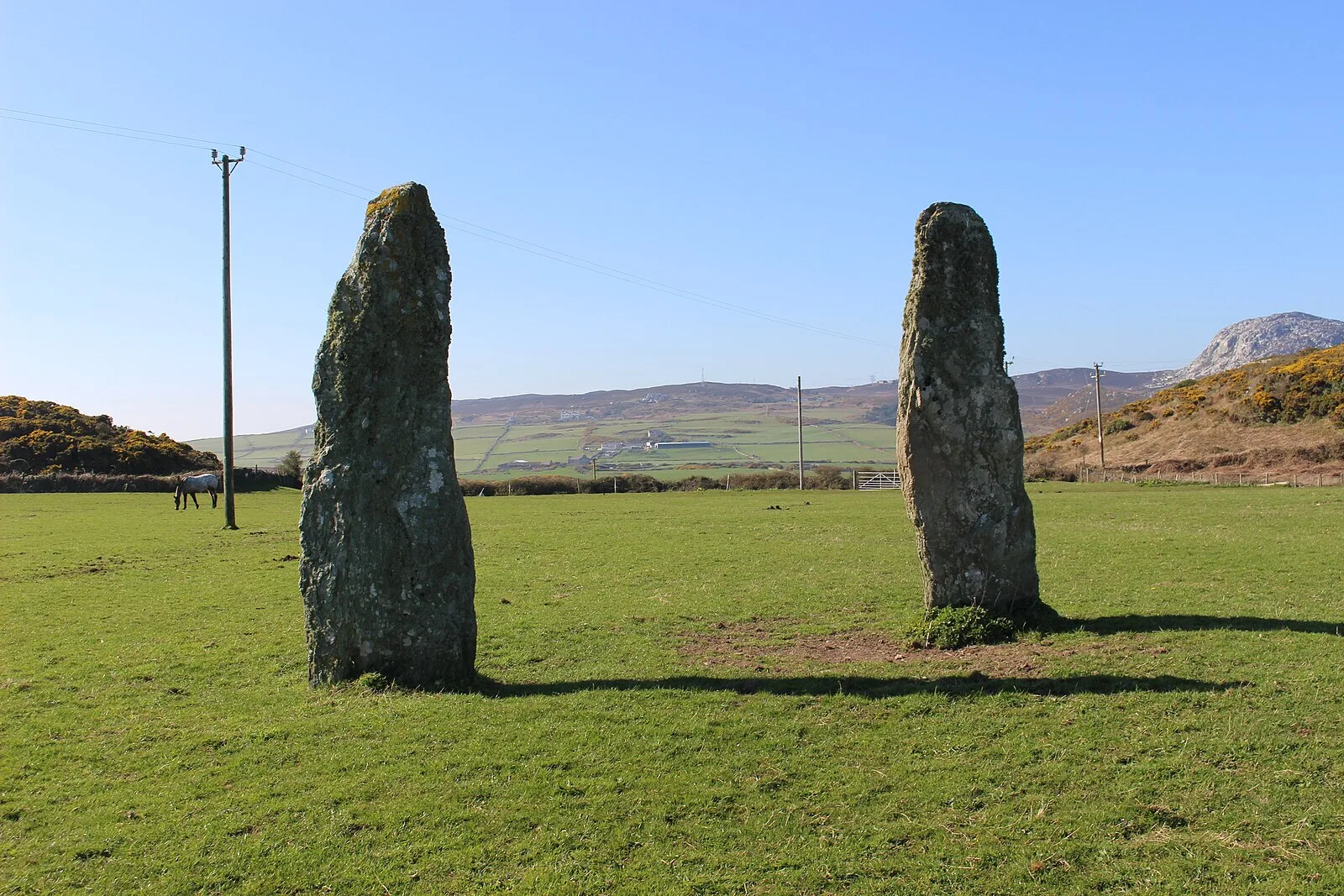 Penrhos Feilw Standing Stones